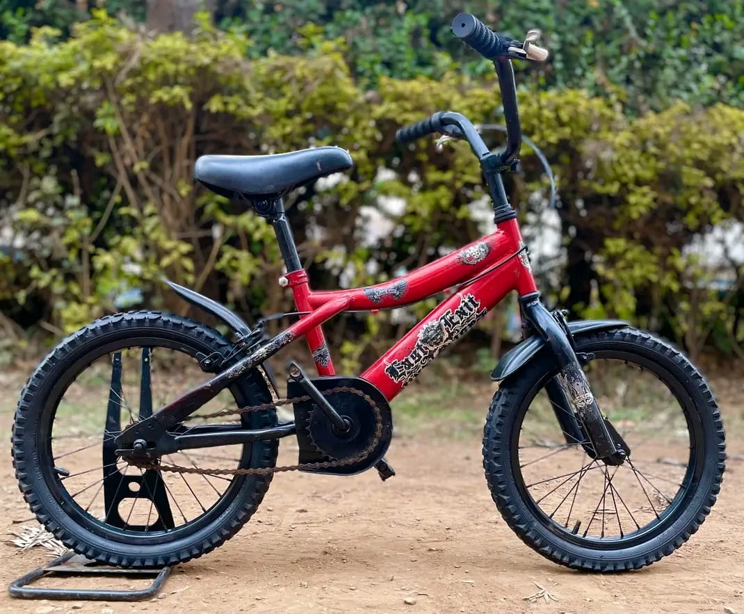 Size 12 bike image 4