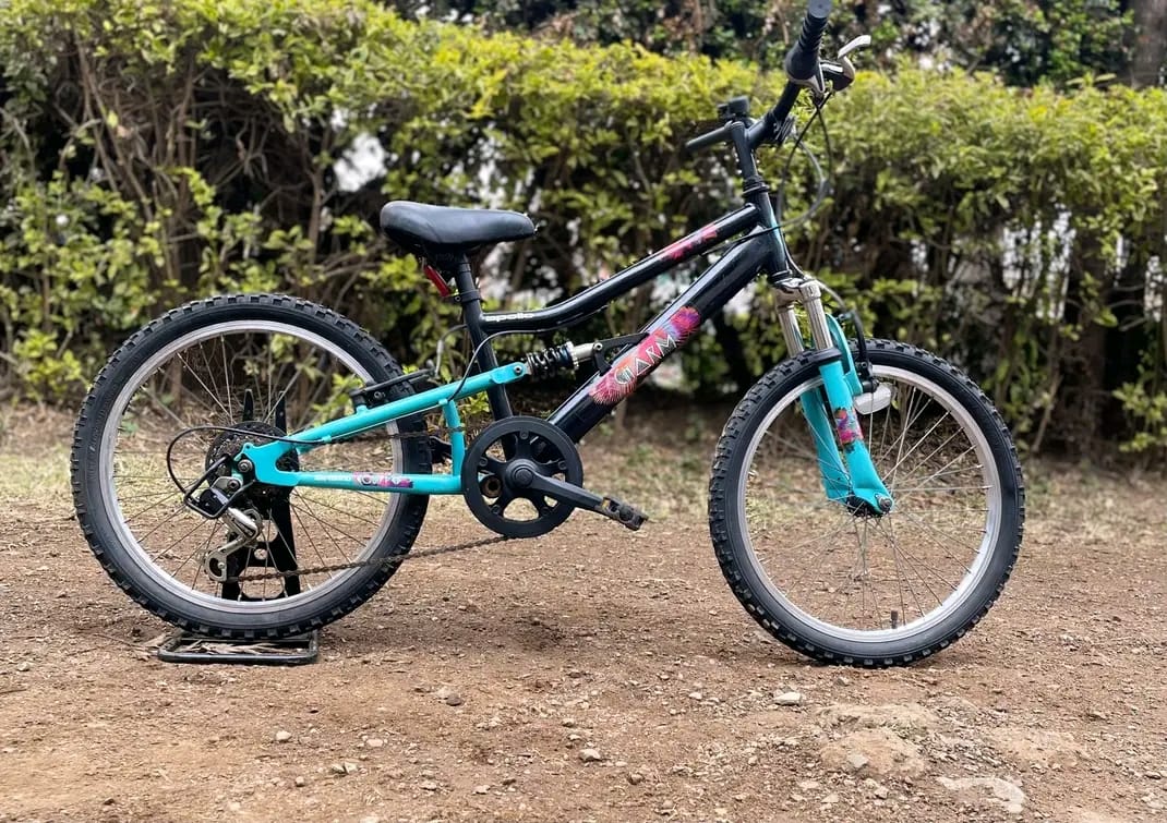 Size 16 bike image 3