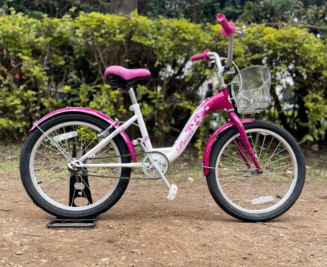 Size 20 bike image 3