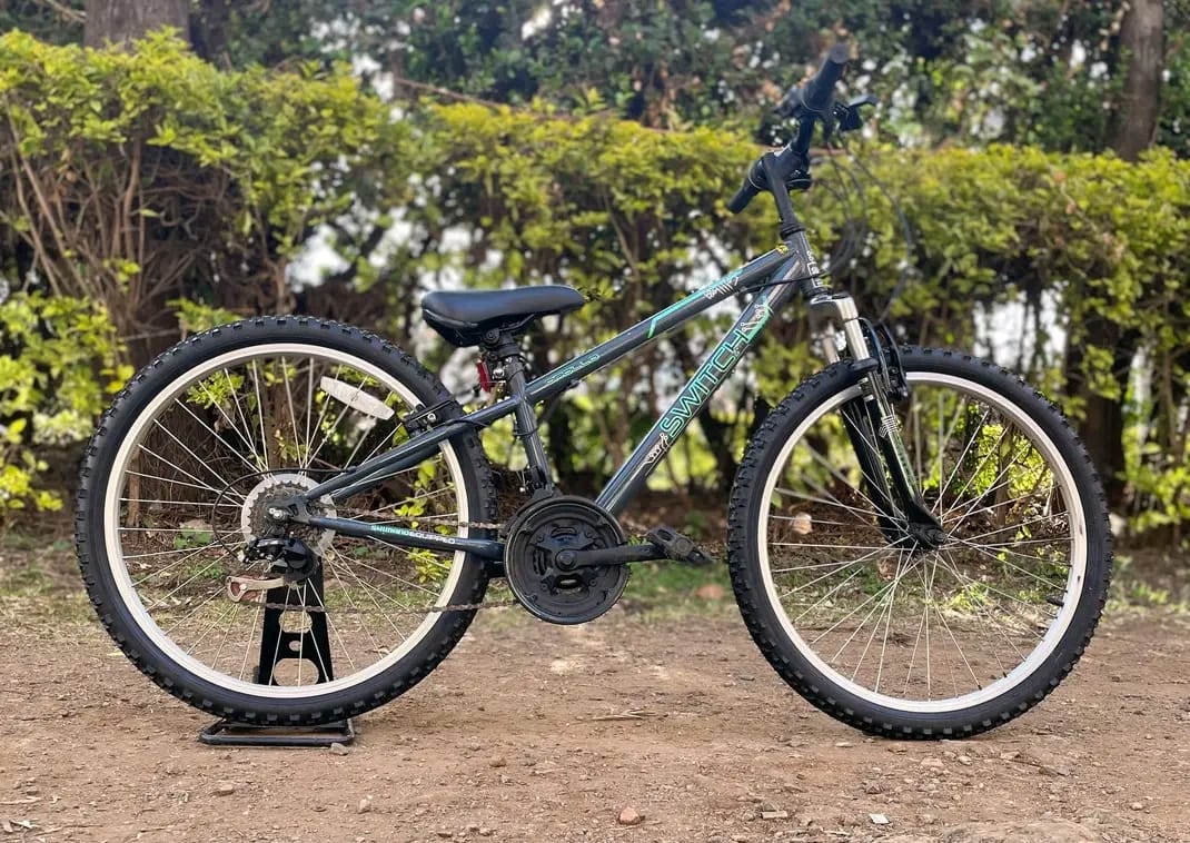 Size 22 bike image 3